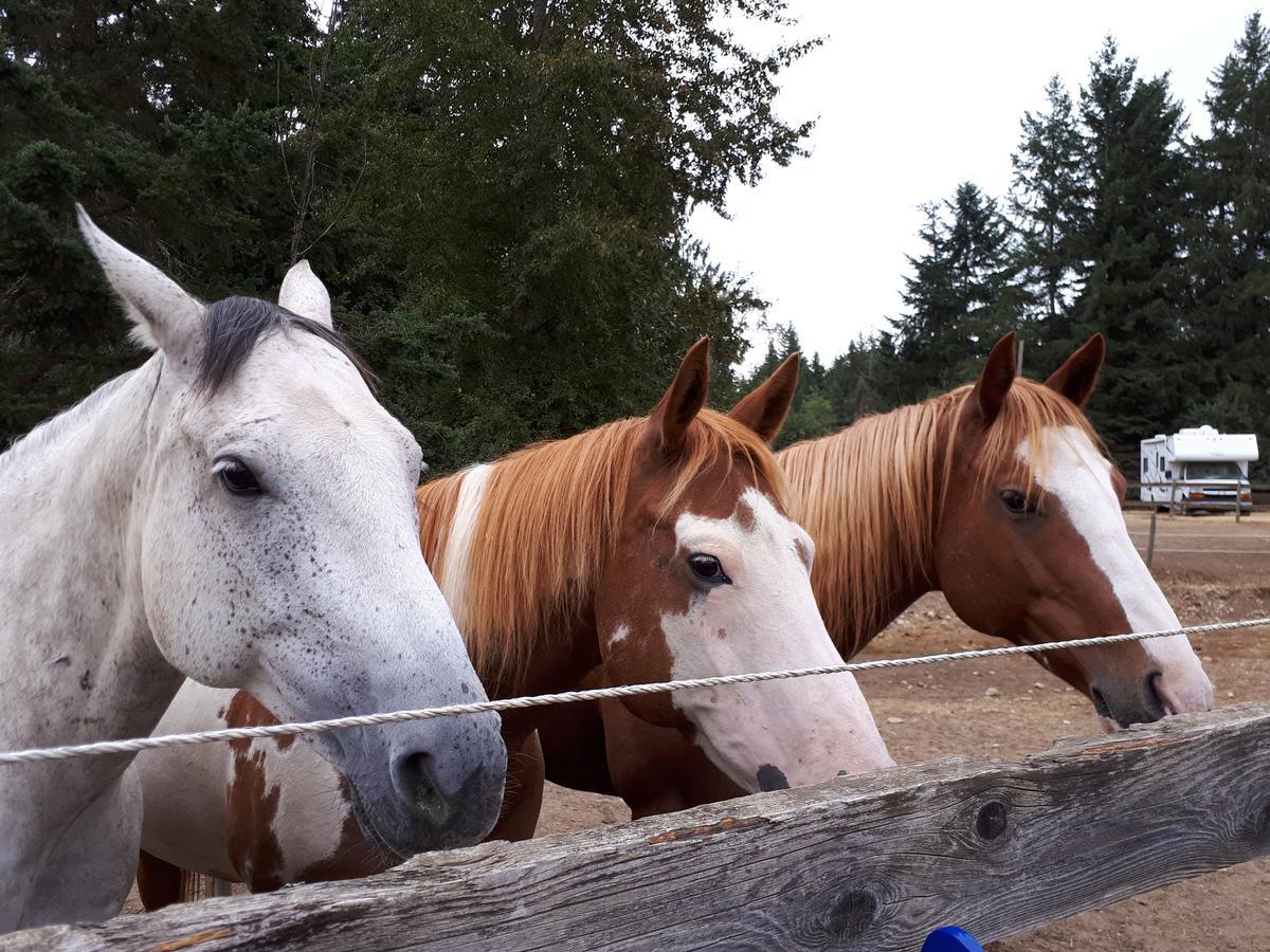 Paradise Acres Ranch Nanoose Bay Exteriör bild
