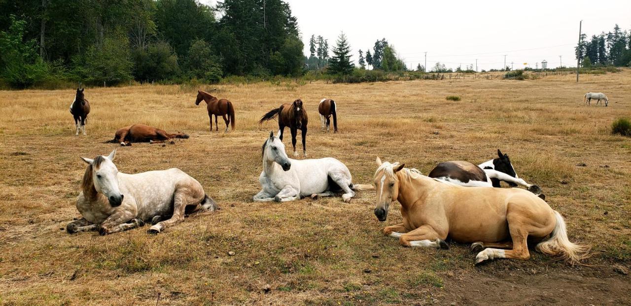 Paradise Acres Ranch Nanoose Bay Exteriör bild