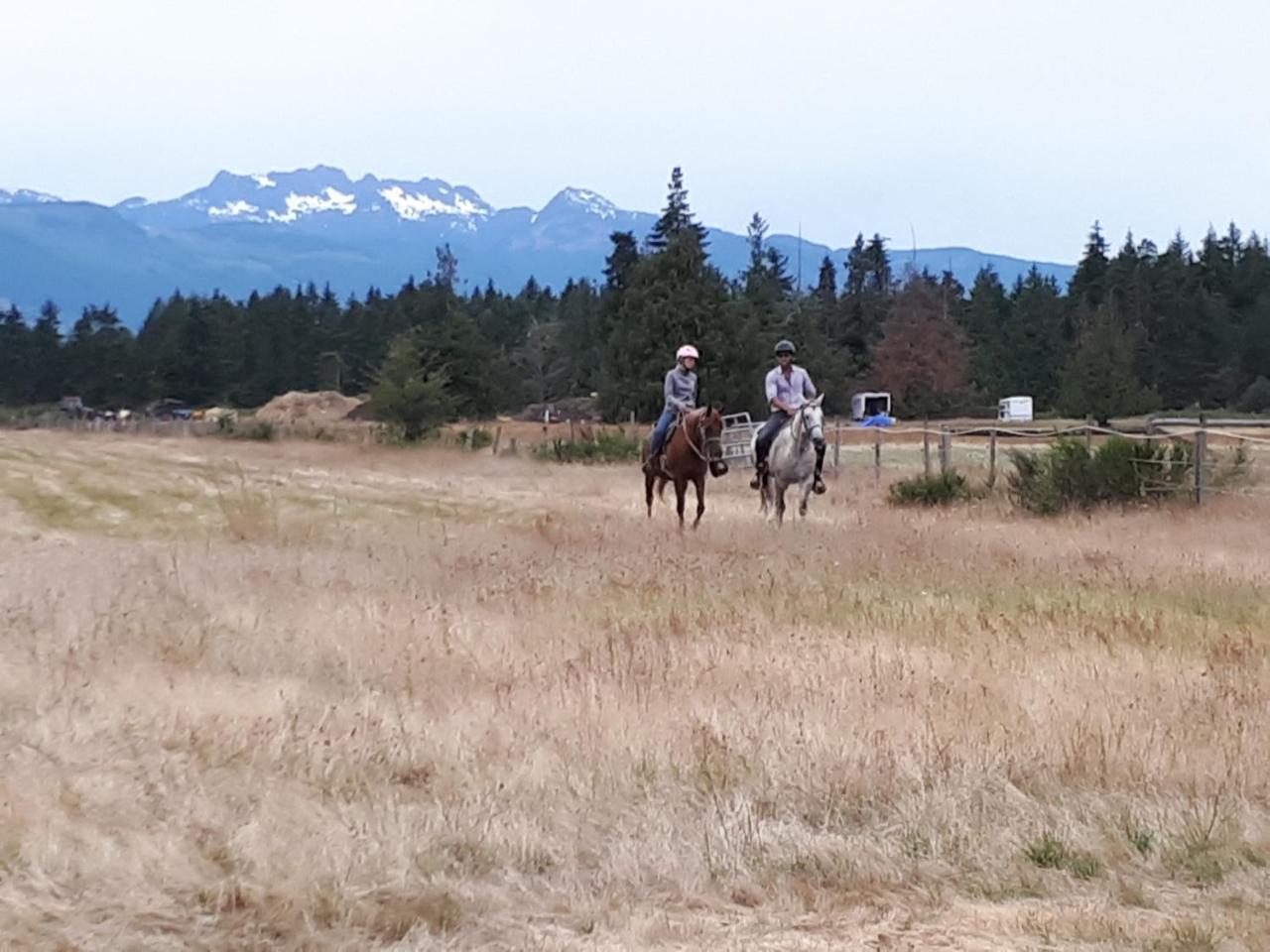 Paradise Acres Ranch Nanoose Bay Exteriör bild