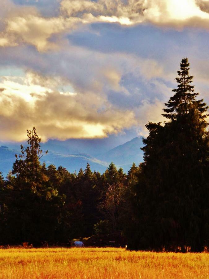 Paradise Acres Ranch Nanoose Bay Exteriör bild